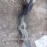 ФОТО Балка подвески передняя для Subaru Outback III BP/BL (03-09) Київ