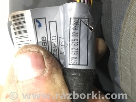 ФОТО Проводка двери для Porsche Panamera I 970 (09-16) Київ