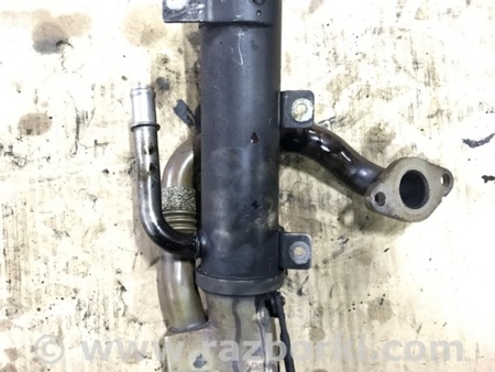 ФОТО Радиатор масляный для Audi (Ауди) Q5 I 8R (08-17) Київ