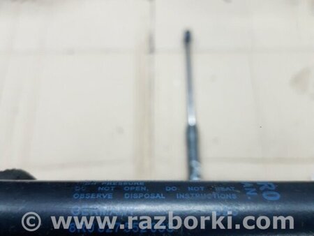 ФОТО Амортизатор багажника для Audi (Ауди) Q5 I 8R (08-17) Київ