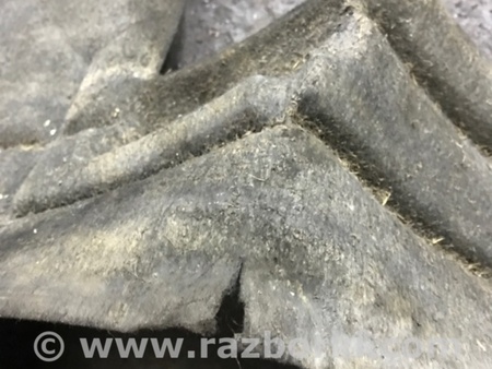 ФОТО Подкрылок передний правый для Audi (Ауди) Q5 I 8R (08-17) Київ