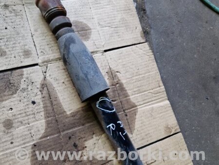 ФОТО Амортизатор задний для Audi (Ауди) Q5 I 8R (08-17) Київ