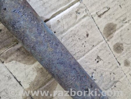 ФОТО Амортизатор задний для Audi (Ауди) Q5 I 8R (08-17) Київ