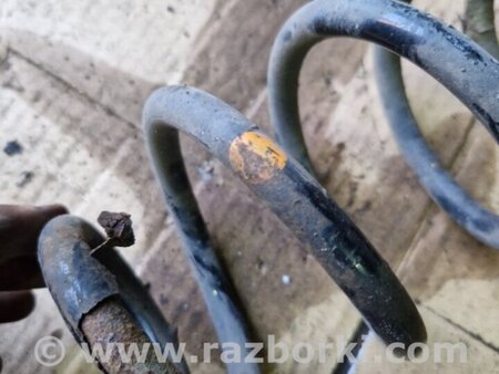 ФОТО Пружина задняя для Audi (Ауди) Q5 I 8R (08-17) Київ