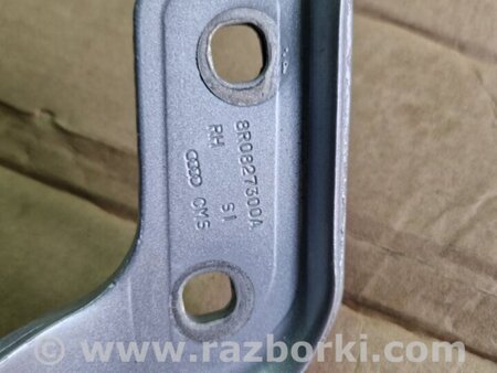 ФОТО Петля багажника задняя правая для Audi (Ауди) Q5 I 8R (08-17) Київ