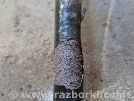 ФОТО Стабилизатор задний для Audi (Ауди) Q5 I 8R (08-17) Київ