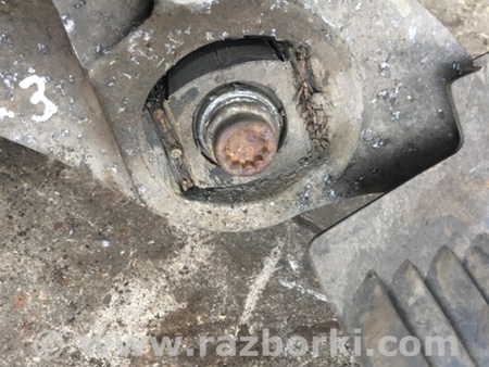 ФОТО Цапфа задняя для Audi (Ауди) Q5 I 8R (08-17) Київ