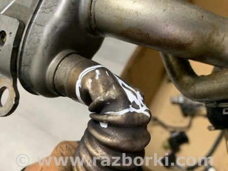 ФОТО Радиатор EGR для Nissan Qashqai/Roque Sport J11 (13-21) Київ