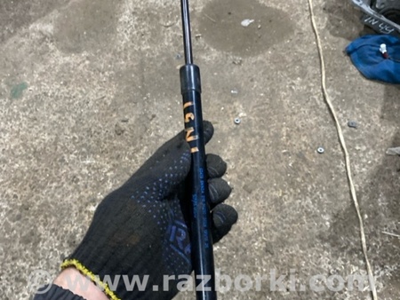 ФОТО Амортизатор капота для Infiniti QX50 II II P71A (17-25) Київ