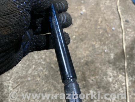 ФОТО Амортизатор капота для Infiniti QX50 II II P71A (17-25) Київ