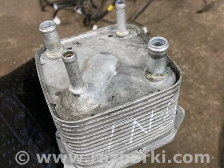 ФОТО Радиатор масляный для Infiniti QX50 II II P71A (17-25) Київ