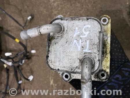 ФОТО Радиатор масляный для Infiniti QX50 II II P71A (17-25) Київ