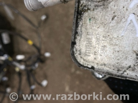 ФОТО Радиатор масляный для Infiniti QX50 II II P71A (17-25) Київ