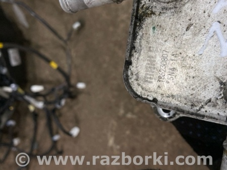 ФОТО Радиатор масляный для Infiniti QX50 II II P71A (17-25) Київ