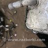 ФОТО Радиатор масляный для Infiniti QX50 II II P71A (17-25) Київ