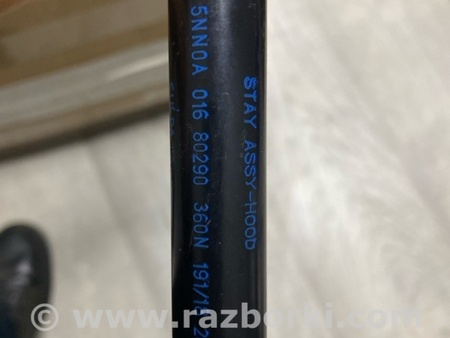 ФОТО Амортизатор капота для Infiniti QX50 II II P71A (17-25) Київ