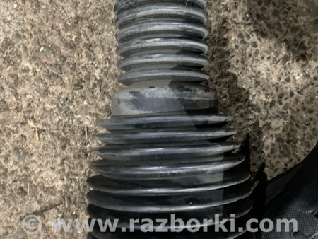 ФОТО Пневмоамортизатор подвески для Land Rover Range Rover IV L405 (12-21) Київ