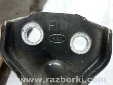 ФОТО Петля двери передняя левая для KIA Sorento 1 BL (02-09) Київ