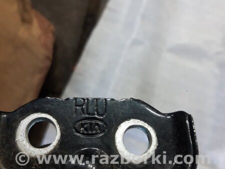 ФОТО Петля двери задняя правая для KIA Sorento 1 BL (02-09) Київ