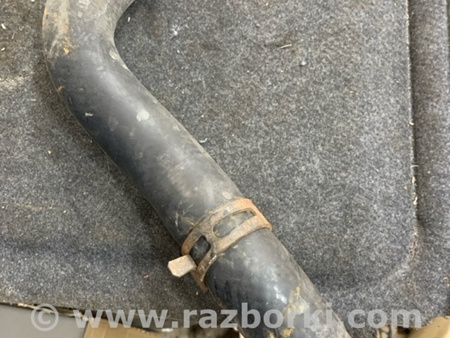 ФОТО Патрубок радиатора для KIA Sorento 2 XM (09-14) Київ