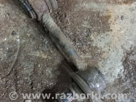 ФОТО Стойка стабилизатора задняя левая для KIA Sorento 2 XM (09-14) Київ