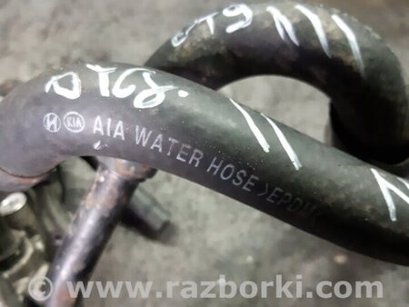 ФОТО Патрубок для KIA Sorento 2 XM (09-14) Київ