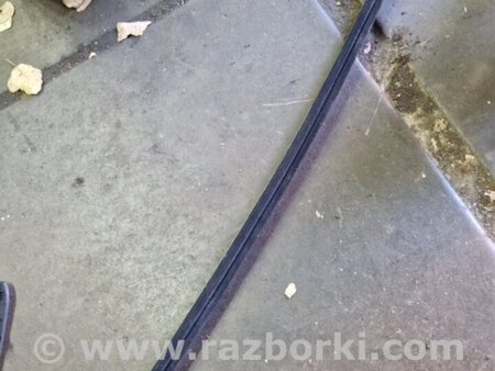 ФОТО Молдинг на дверь передний левый для KIA Sportage SL (10-16) Київ