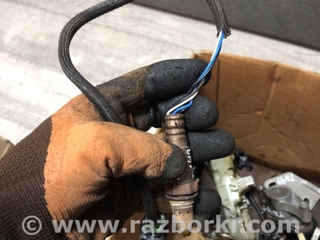 ФОТО Датчик кислородный для Volvo XC90 II SPA (2015-) Київ