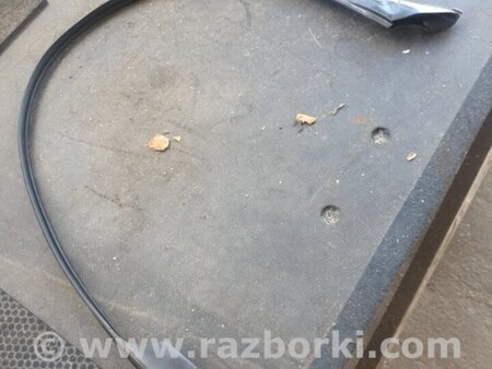 ФОТО Уплотнительная резинка передняя левая для BMW 5 F10 (10-17) Київ