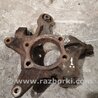 Цапфа задняя Subaru Forester SH S12 (08-12)