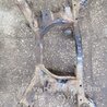 Подрамник задний Subaru Impreza III GE GH (07-14)