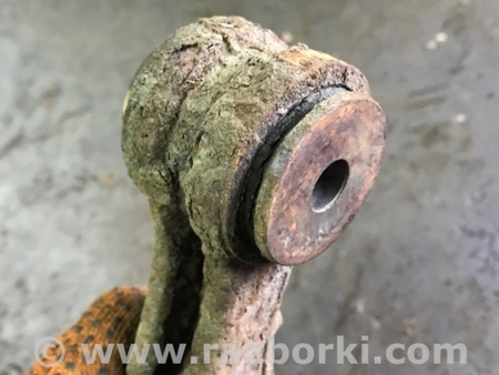 ФОТО Рычаг задний левый для Subaru Tribeca B9 (05-08) Київ