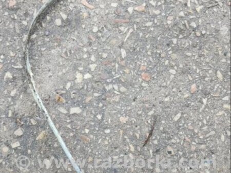 ФОТО Трос ручника для Subaru Tribeca B9 (05-08) Київ