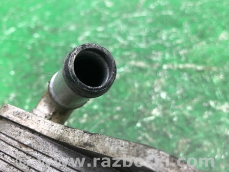 ФОТО Теплообмінник двигуна для Volkswagen Passat B7 (09.2010-06.2015) Київ