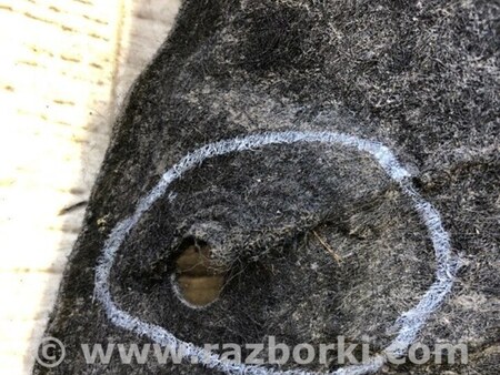 ФОТО Підкрилок для Ford Focus 3 (01.2010 - 03.2018) Київ