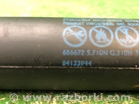 ФОТО Амортизатор кришки багажника для Chevrolet Equinox III (17-24) Київ