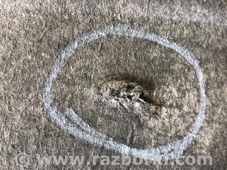 ФОТО Підкрилок для Volkswagen Passat CC (03.2008-01.2012) Київ