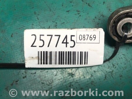 ФОТО натягувач ременя генератора для Acura TLX (14-20) Київ