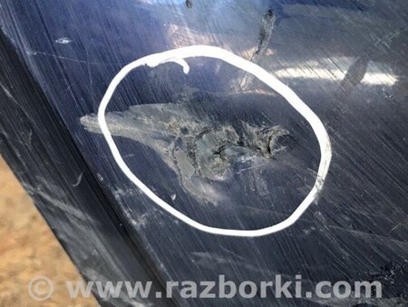 ФОТО Бампер передній для Toyota Corolla E210 (11.2018-...) Київ