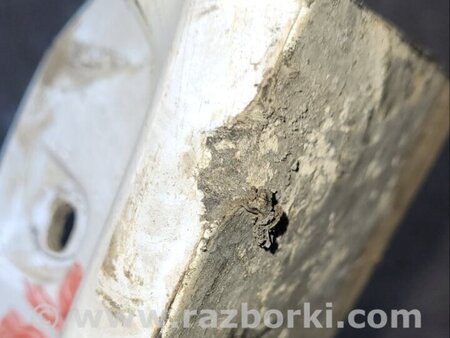 ФОТО Бризговик для Toyota Solara Київ