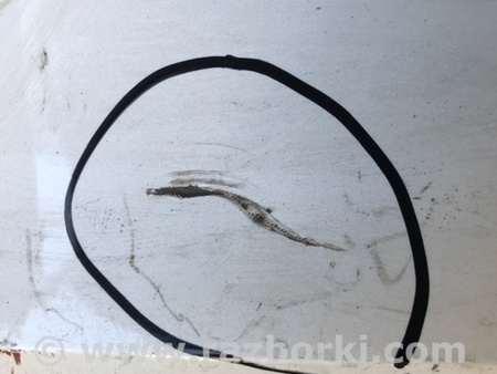 ФОТО Бампер задній для Honda Civic XI седан FE1/FE2/FE4 (2021-..) Київ