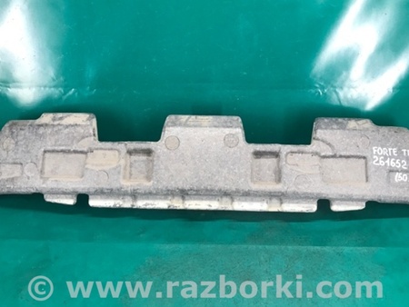 ФОТО Наповнювач бампера задній для KIA Cerato 2 TD (08-12) Київ