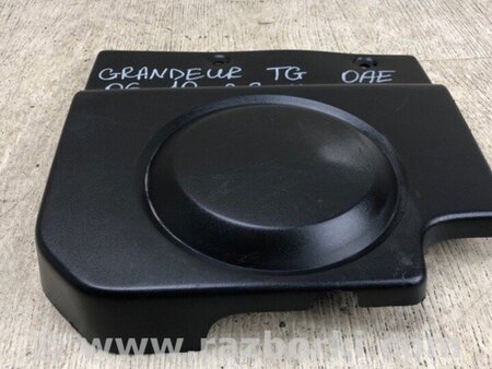 ФОТО Пластик подкапотного отсека для Hyundai Grandeur IV TG (05-11) Київ