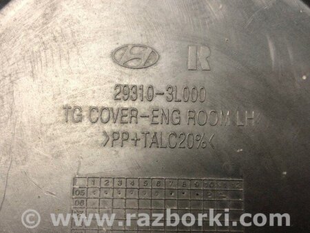 ФОТО Пластик подкапотного отсека для Hyundai Grandeur IV TG (05-11) Київ