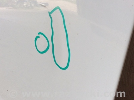 ФОТО Двері для Ford Fiesta Mk6 (2008-2017) Київ