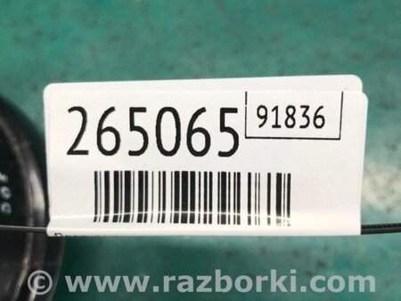 ФОТО Протитуманна фара для Toyota Solara Київ