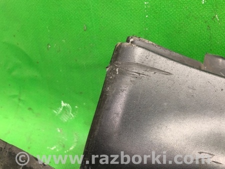 ФОТО Накладка порогу зовнішня для Nissan Juke (10-19) Київ