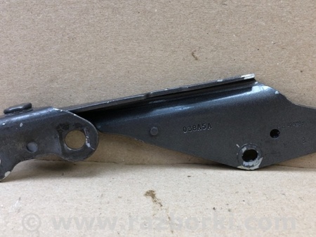 ФОТО Петля капоту для Ford Edge 1 U387 (01.2006-04.2015) Київ