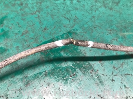 ФОТО Датчик ABS для Toyota RAV-4 III CA30W/XA30 (05-16) Київ