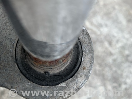 ФОТО Цапфа для Nissan Altima L32 Київ